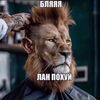 _imu_the_king