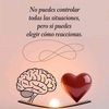 johana_181