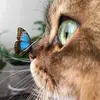 didija_titiza15