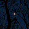 mohamedsayed_73