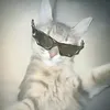 apikets