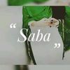 sabagul904