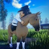 roblox_horseriding13