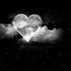 nosha7360