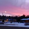lettyanne10