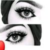 المدلشية