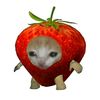 user_b635