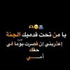 zozo.lord12