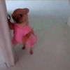 mila.rearick