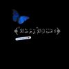 bushra.moftah0