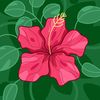 adel.helfi