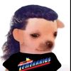littleratpee