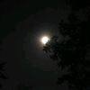 faiz_writes01