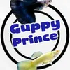 guppyboy09