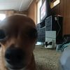 stillachillguy2