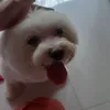 nika_2886