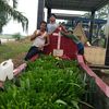 frans.butar.butar14