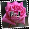 user1344435962595