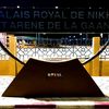 le.roi.david206