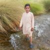 shahzadjamali028