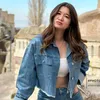 shirley.besa