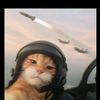 zafe138