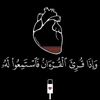 mo5hamed9