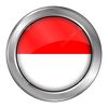 Sepak Bola Indonesia