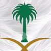 basil.alqahtani