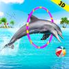 dolphintrainer0311