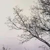 skymmka