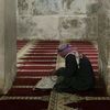 elbandry.elrashid