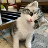ma2_7m