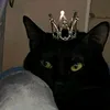 bendabanh