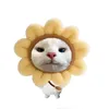 doanhdzaicte