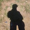 pria_jahat57