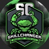 SkillChanger - обучение EAFC25