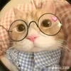 th.harylun