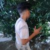 ammar..mohamad