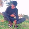 badr.ald.einalsayed