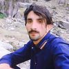 shair.alamaa.a3