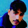 dildar.khan3857