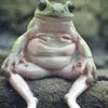 tbugtwo
