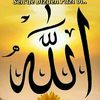 haqqyolu8
