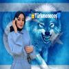 turkmen_ecos_2006