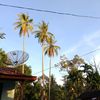 gideonta19