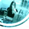 miss.bianii