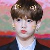 jeon_jui__347__