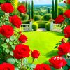 sucdi.xassan