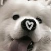 hyun_mikasn
